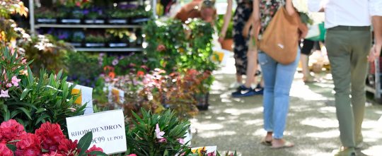 RENDEZ-VOUS AU JARDIN