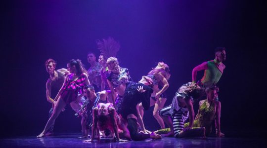 De Purple à Pärt • Rioult Dance New York