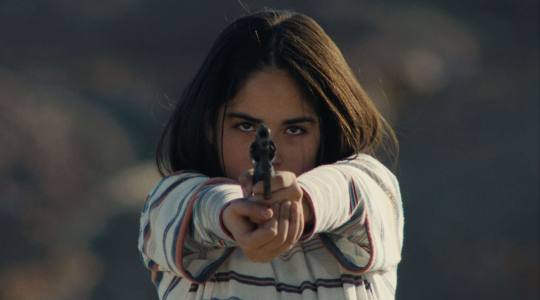 Le mystérieux regard du flamant rose • Avant-première