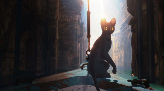 Flow, le chat qui n’avait plus peur de l’eau