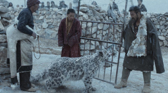 LE LÉOPARD DES NEIGES