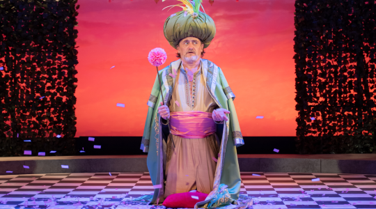 LE BOURGEOIS GENTILHOMME