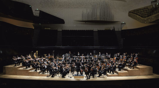 Orchestre National d'Île-de-France : L'oiseau de feu