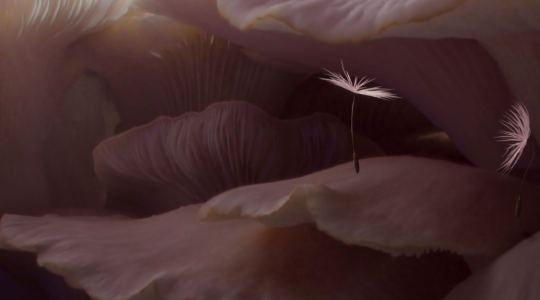 CINÉ-PHILOu • PLANÈTES 