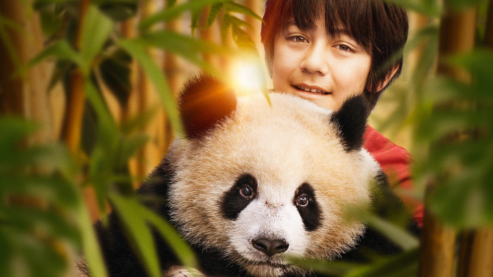 MOON LE PANDA