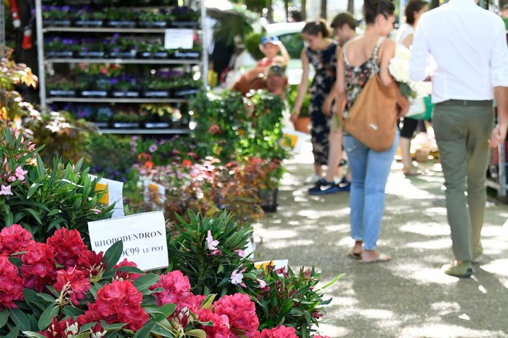 RENDEZ-VOUS AU JARDIN