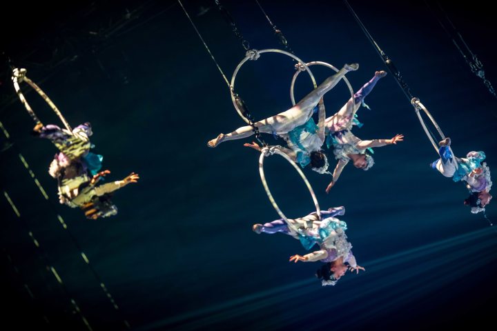 Cirque Phénix • Les jeux du cirque