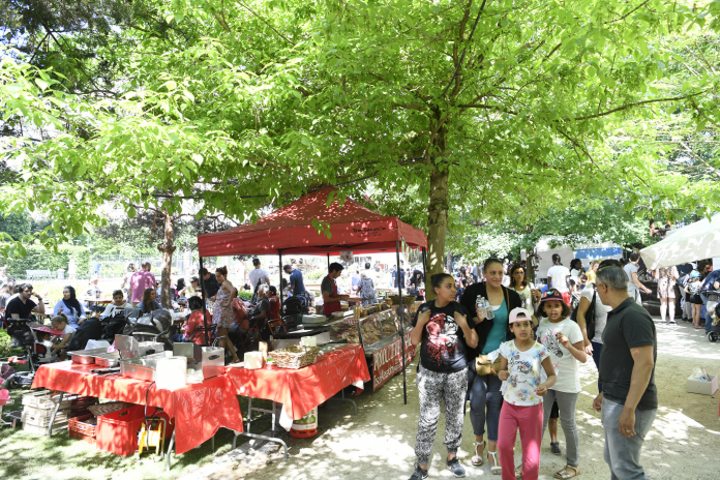 Marché aux plantes